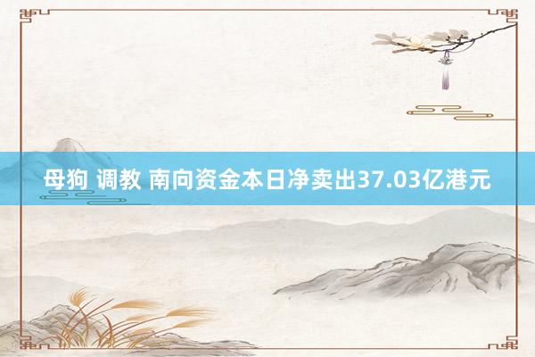 母狗 调教 南向资金本日净卖出37.03亿港元