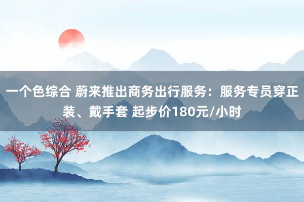 一个色综合 蔚来推出商务出行服务：服务专员穿正装、戴手套 起