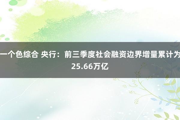 一个色综合 央行：前三季度社会融资边界增量累计为25.66万亿