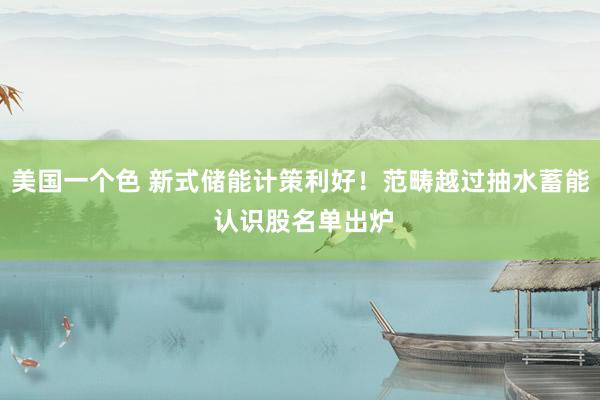 美国一个色 新式储能计策利好！范畴越过抽水蓄能 认识股名单出