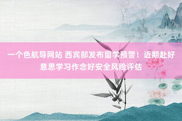 一个色航导网站 西宾部发布留学预警！近期赴好意思学习作念好安全风险评估